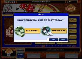 spinpalace flash casino|Instant Play and Fun at the Spin Palace Casino.
